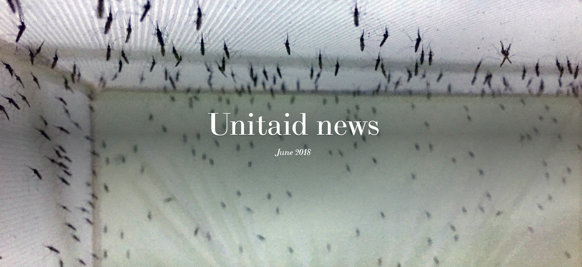 The Hummingbird. Unitaid News – June 2018. (en anglais seulement)